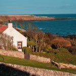 A holiday home by the coast, surrounded by some trees to show the importance of holiday home insurance.