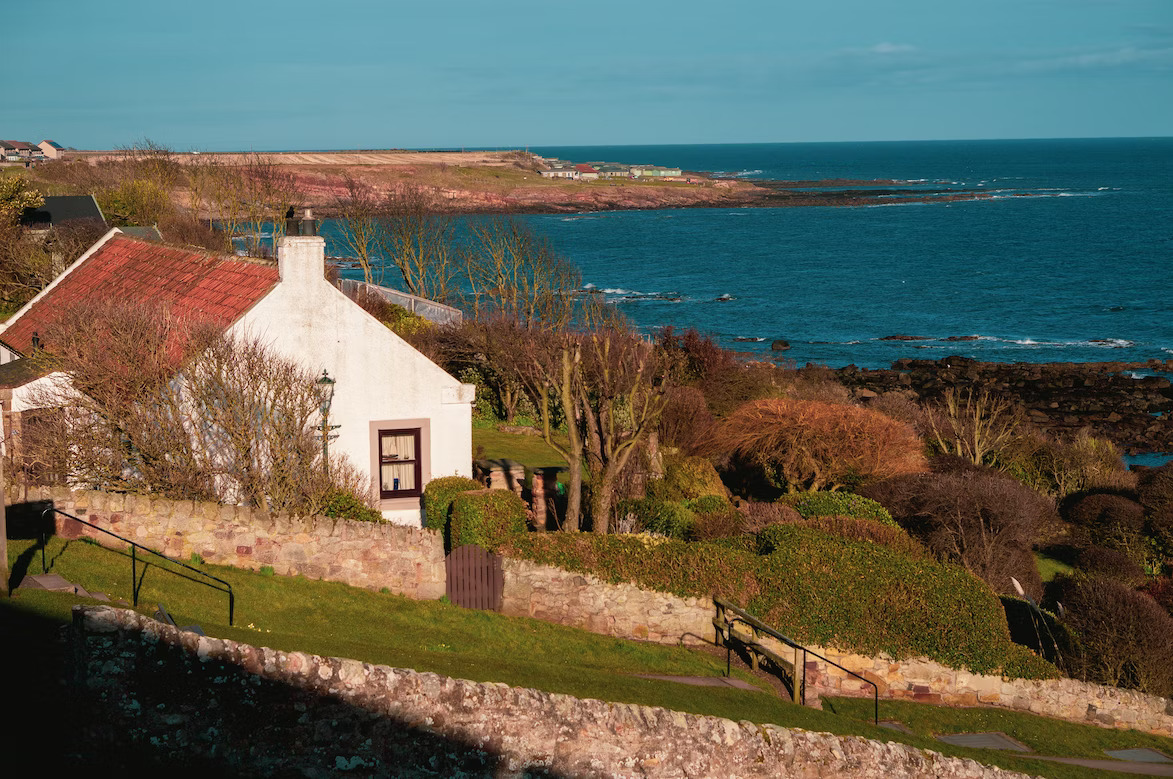 A holiday home by the coast, surrounded by some trees to show the importance of holiday home insurance.