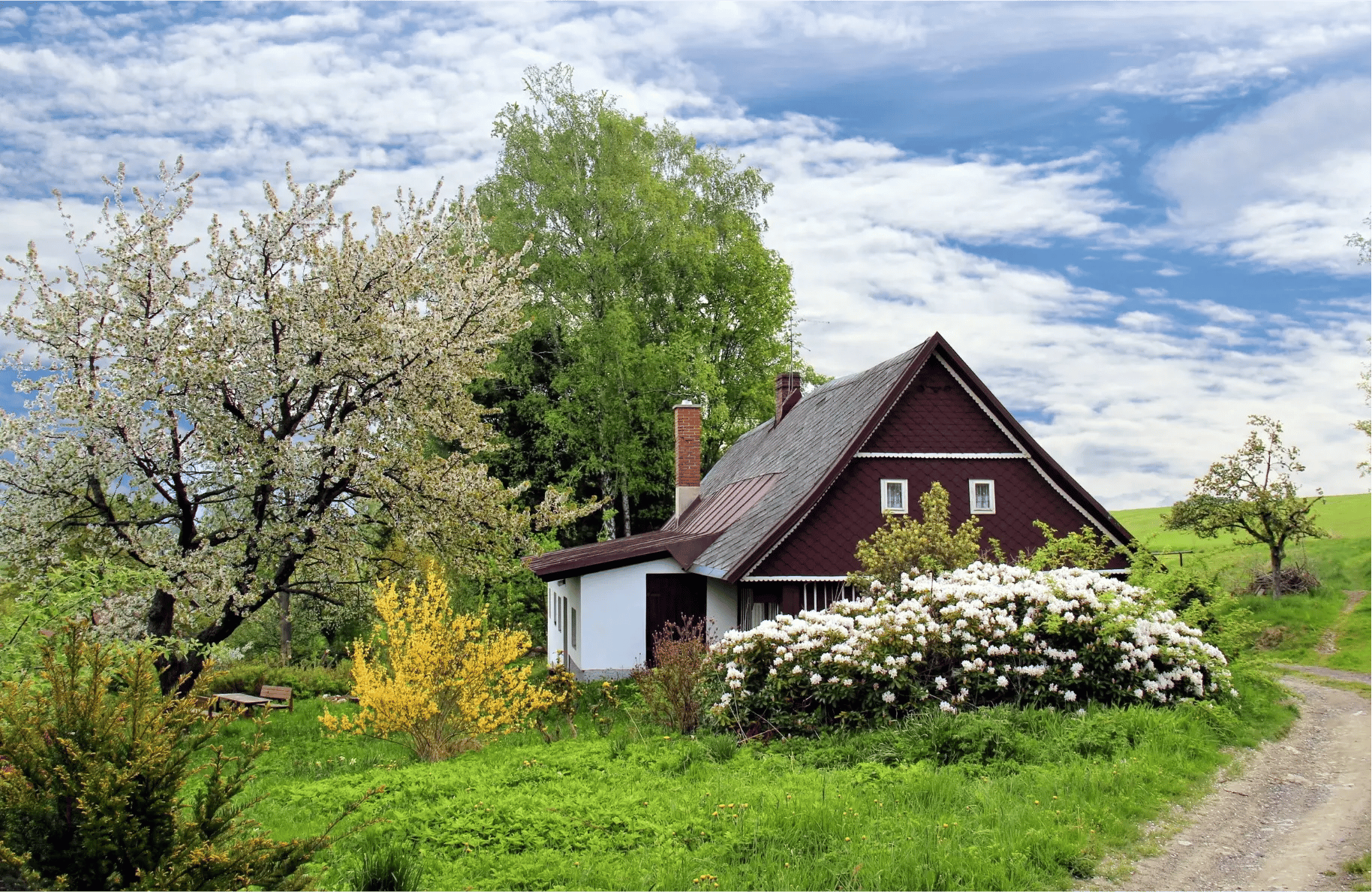 Hard-to-Insure Homes
