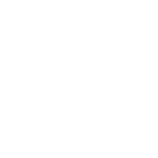 Independent Insurance Broker